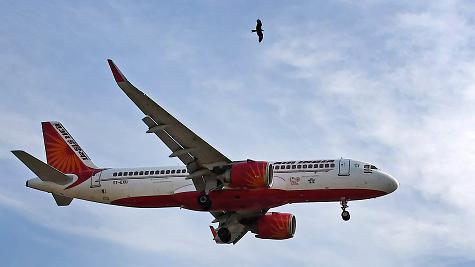 విమానం విమానం