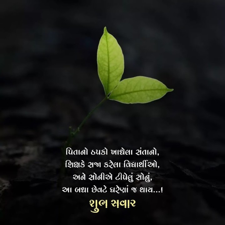 શુભ સવાર