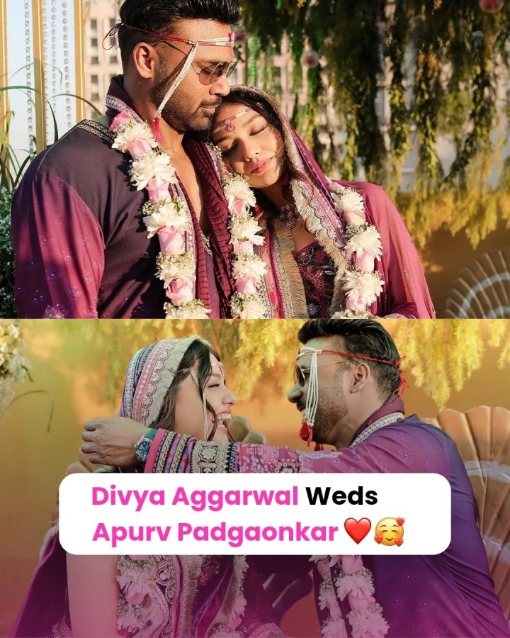 दिव्या और अपूर्व ने की शादी