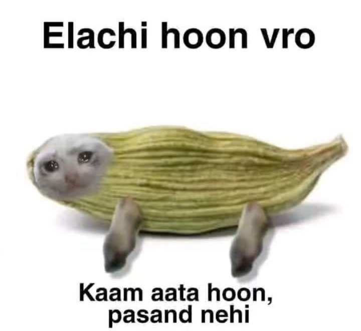 इलायची हूं यारो