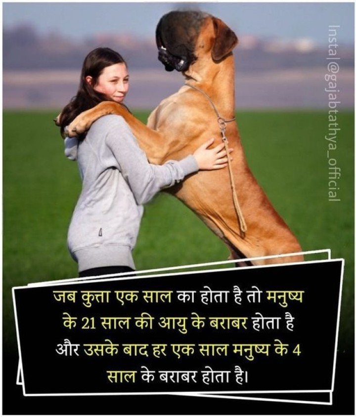 बूझो तो जानो