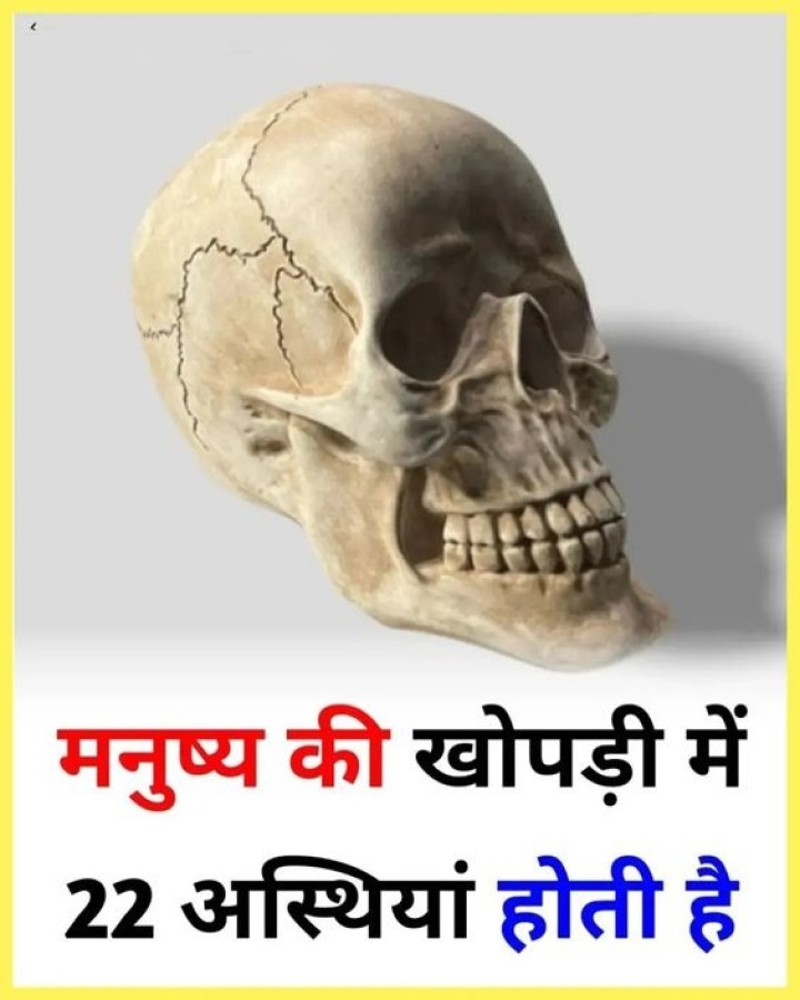 मनुष्य की खोपरी में 22 अस्थिया होती है