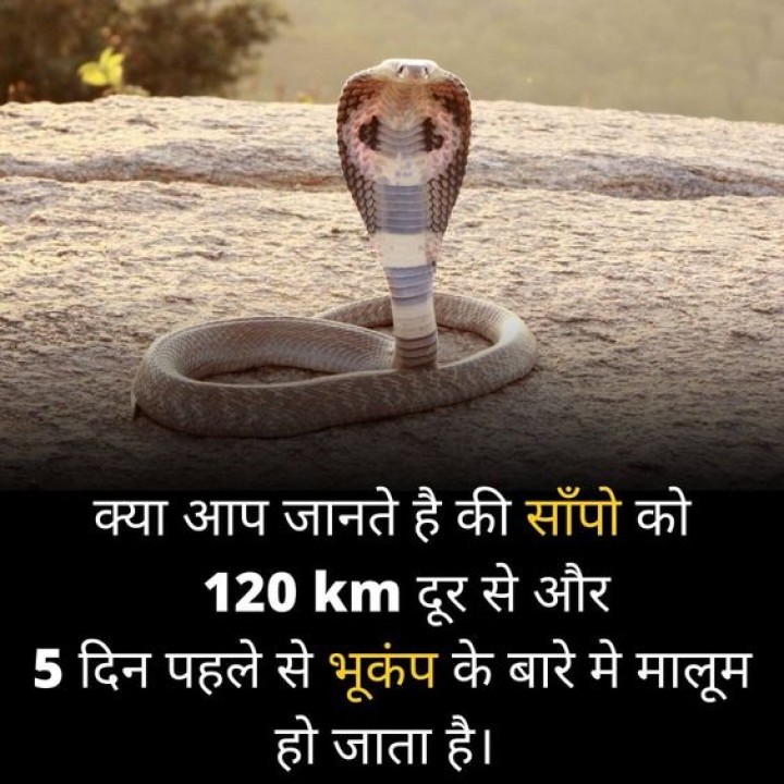 भूकंप से पहले अपना घर बदल लेते हैं ऐसे जानवर