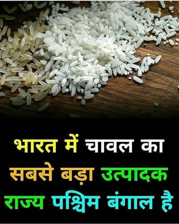 जाने भारत में चावल का सबसे बड़ा उत्पादक राज्य कोनसा है