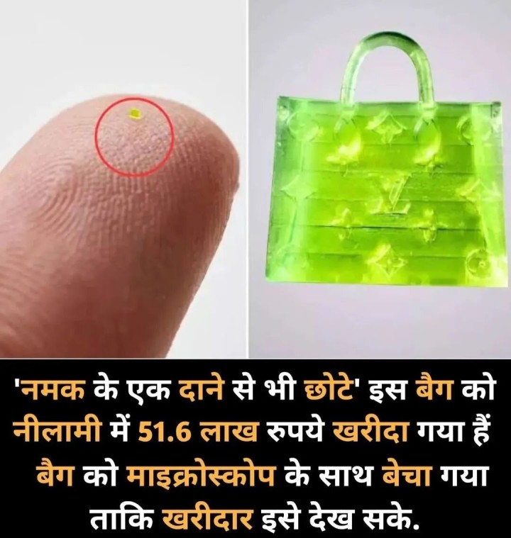 नमक के एक दाने से भी छोटे इस बैग को नीलामी में 51.6 लाख रुपया में ख़रीदा गया है