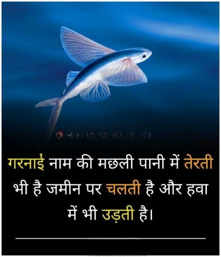 ये मछली जमीन और पानी दोनों जगह रहती है