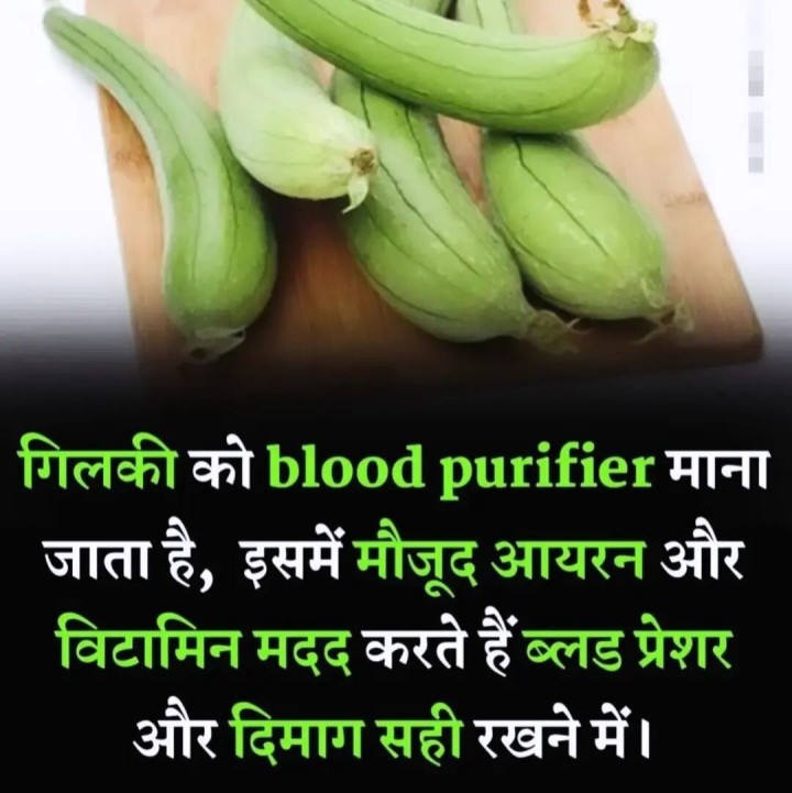 गिलकी को blood purifier माना जाता है इसके और भी बहोत फायदे है