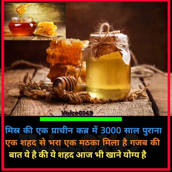 मिस्र की एक प्राचीन कब्र में 3000 साल पुराना एक शहद से भरा एक मठका मिला है गजब की बात ये है की ये शहद आज भी खाने योग्य है..