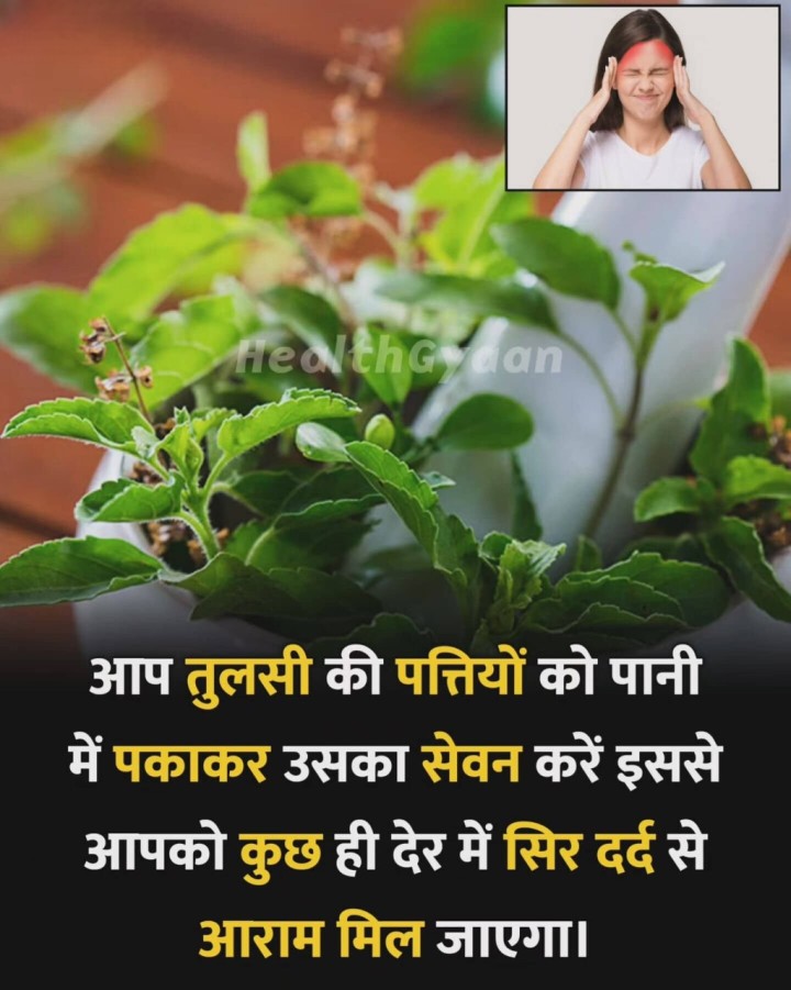 तुलसी की पत्तियों को गरम पानी के साथ सेवन करने से सिर दर्द में आराम मिलता है