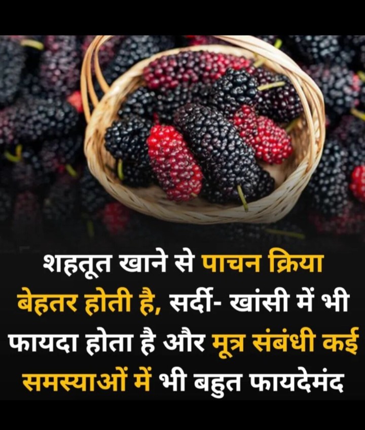 शहतूत खाने से पाचन क्रिया बेहतर होती है