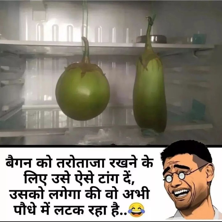 बैगन को तारोंताज़ा रखने के अचूक उपाय