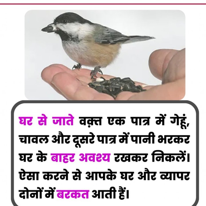 घर से जाते वक़्त एक पात्र में गेहूं चावल और दूसरे पात्र में पानी भरकर घर से बाहर अवश्य रखे