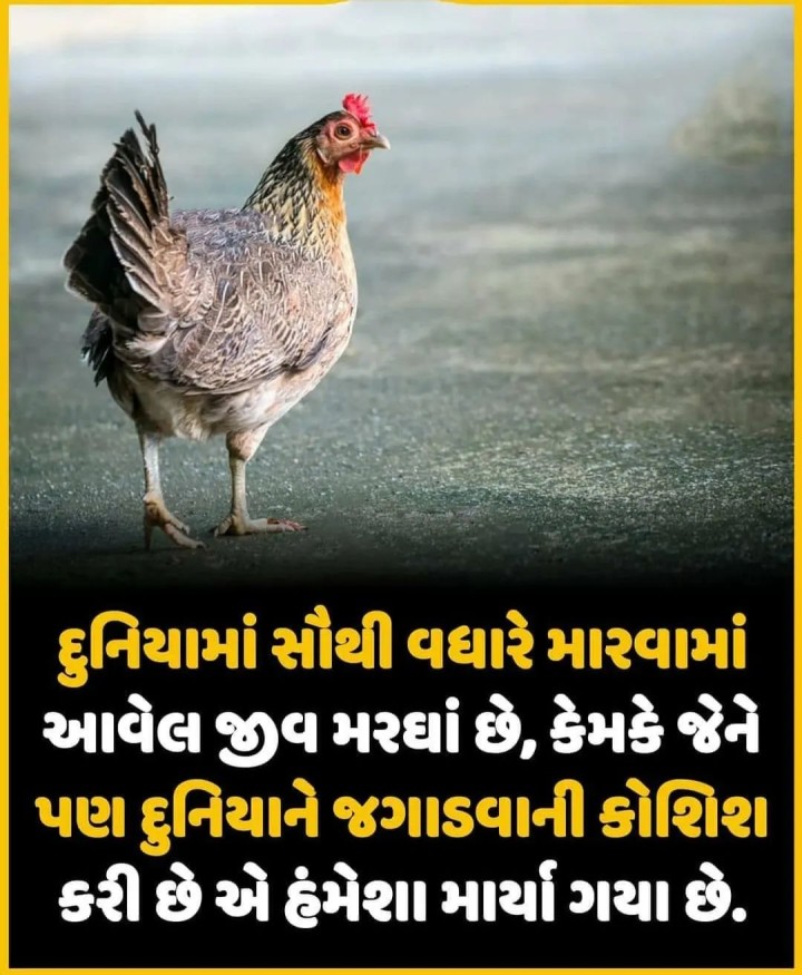 દુનિયાને જગાડવાની કોશિશ કરી છે એ હંમેશા માર્યા ગયા છે.