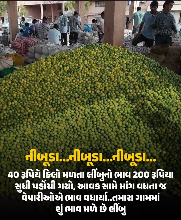 40 રૂપિયે કિલો મળતા લીંબુનો ભાવ 200 રૂપિયા સુધી પહોંચી ગયો