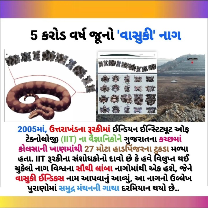 5 કરોડ વર્ષ જૂનો 'વાસુકી' નાગ