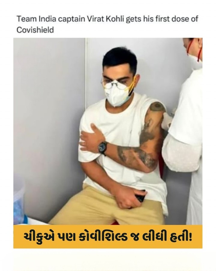 ચીકુએ પણ કોવીશિલ્ડ જ લીધી હતી!