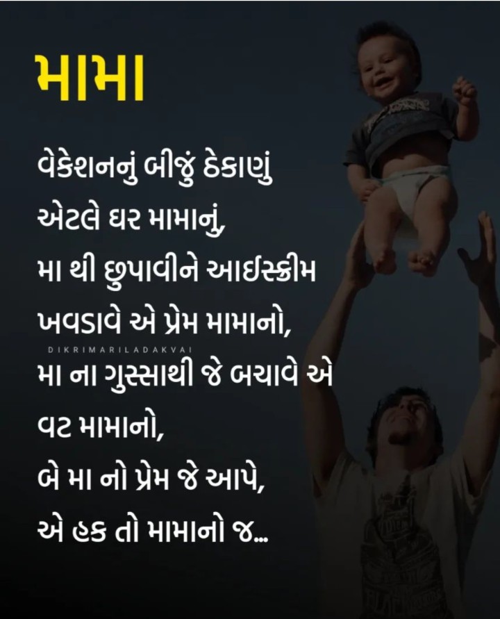 વેકેશન એટલે ફક્ત મામા ના ઘરે જ..