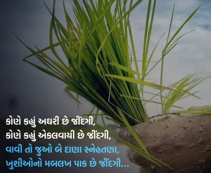 સુવિચાર