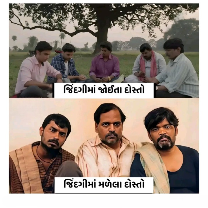 મારા દોસ્તો