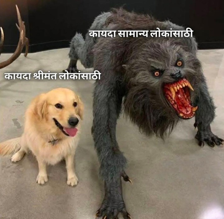 कायदा सगळ्यांसाठी वेगळा