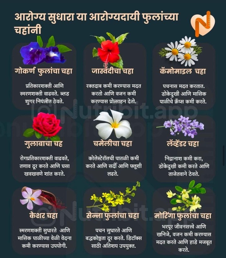 आरोग्यासाठी या फुलांचा चहा प्या