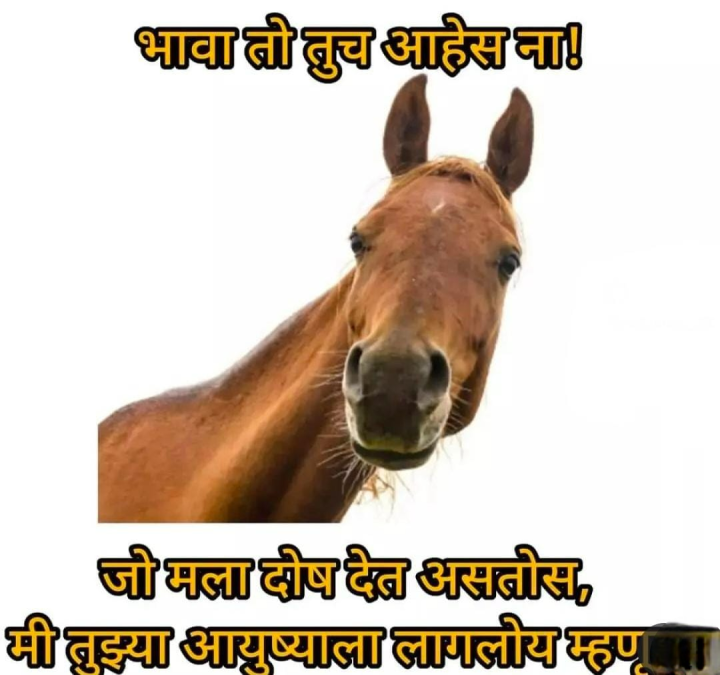 आयुष्याला लागलेला घोडा