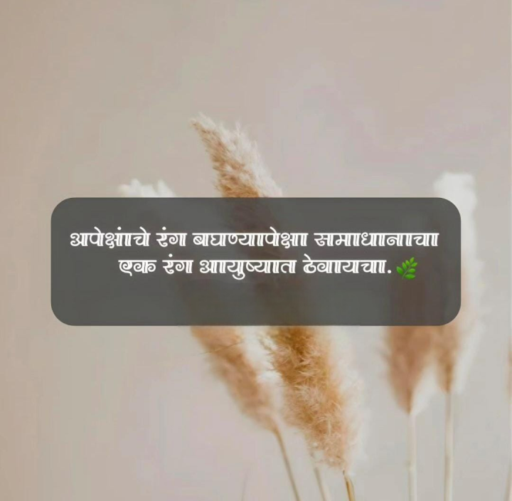 अपेक्षांचा आणि समाधानाचा रंग