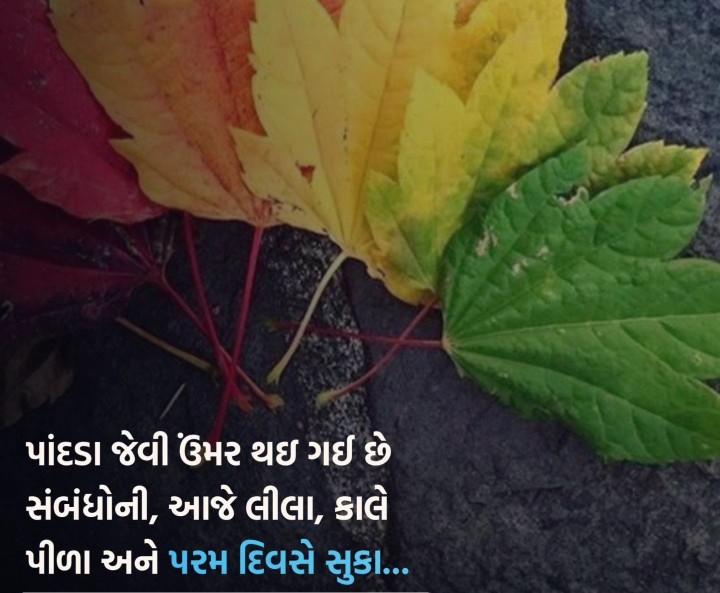 સુવિચાર