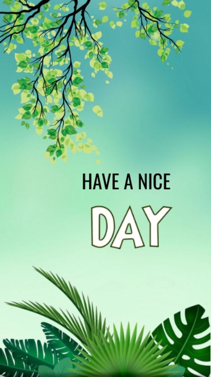 Have a nice day