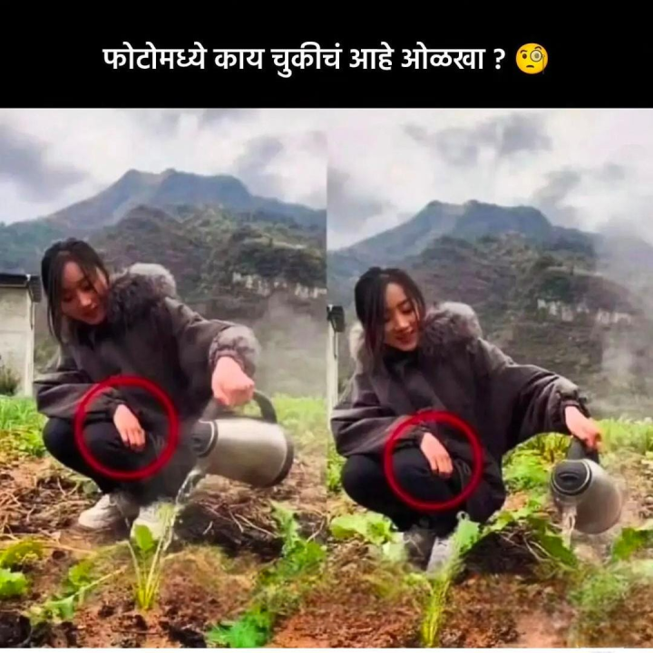फोटोमध्ये काय चुकीचं आहे ?