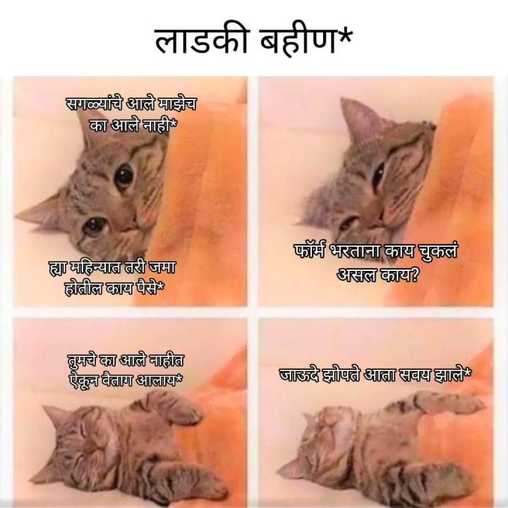 लाडकी बहीण योजना