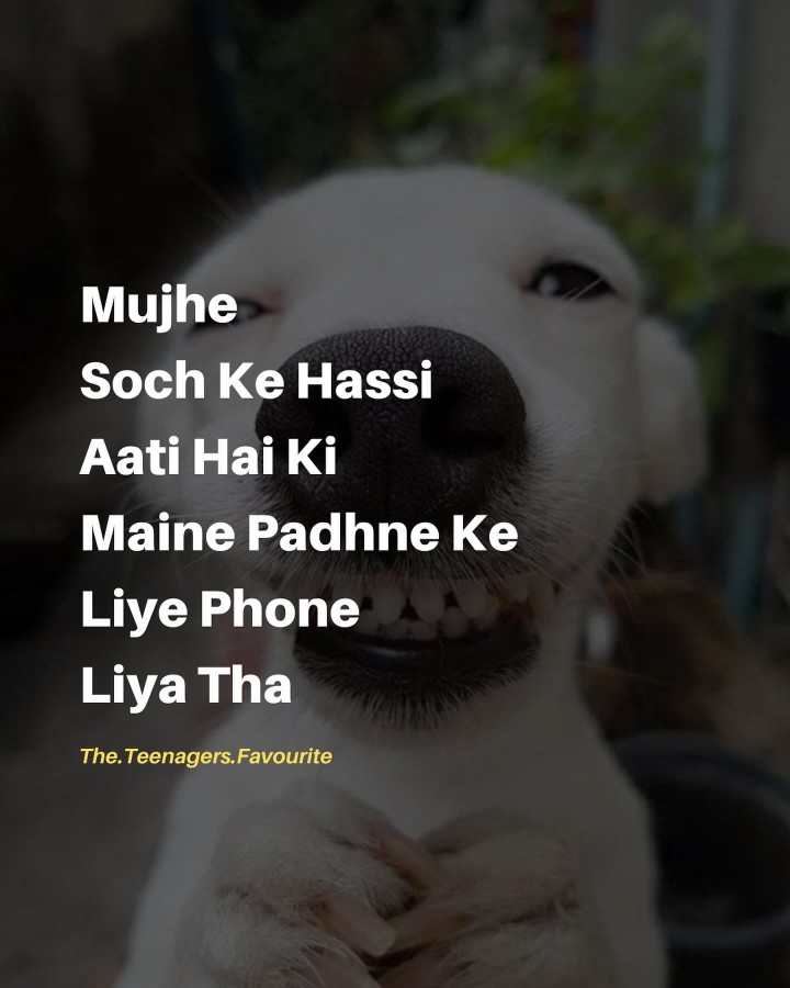 Ha yr ?