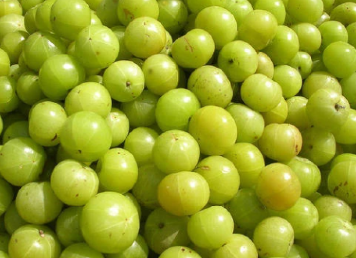 ವಿಟಮಿನ್ ‘ಸಿ’ಯ ಆಗರವಾಗಿರುವ ಮತ್ತು ಕಬ್ಬಿಣ, ರಂಜಕ, ಕ್ರೋಮಿಯಂ ನಂತಹ ಖನಿಜಗಳನ್ನು ಒಳಗೊಂಡಿರುವ ನೆಲ್ಲಿಕಾಯಿ ತಿನ್ನುವುದರಿಂದ ಹೈ ಬ್ಲಡ್ ಶುಗರ್ ಪ್ರಮಾಣವನ್ನು ಕಡಿಮೆ ಮಾಡುತ್ತದೆ.