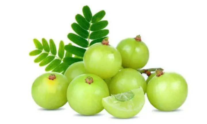 ನೀವು ಯಾವುದಾದರೂ ಸರ್ಜರಿಗೆ ಒಳಗಾಗುತ್ತಿದ್ದಲ್ಲಿ ಸರ್ಜರಿಗೆ 2 ವಾರ ಮೊದಲು ನೆಲ್ಲಿಕಾಯಿ ತಿನ್ನಬೇಡಿ. ಏಕೆಂದರೆ ನೆಲ್ಲಿಕಾಯಿ ರಕ್ತವನ್ನು ತೆಳುವಾಗಿಸುತ್ತದೆ. ಇದರಿಂದ ಸರ್ಜರಿಯ ಸಮಯದಲ್ಲಿ ತೀವ್ರ ರಕ್ತಸ್ರಾವವಾಗಬಹುದು.