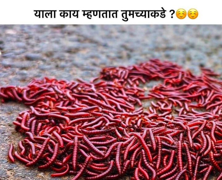 तुमच्याकडे काय म्हणतात ?