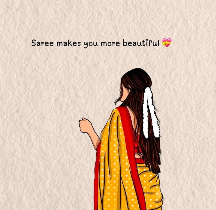 साडी लव्हर