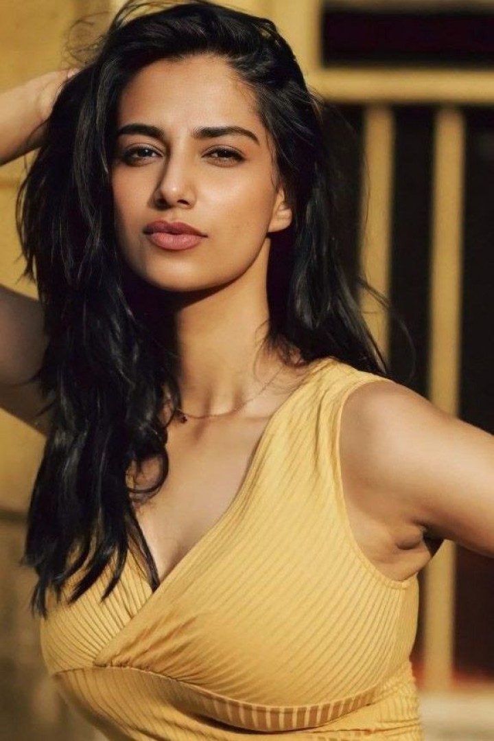 Meenakshi Chaudhary hot look