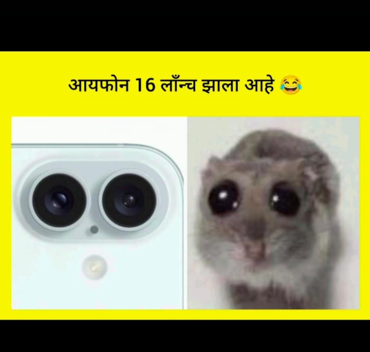 आयफोन सिक्सटीन