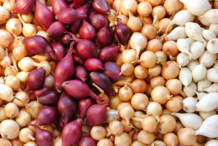 ಫ್ರಿಡ್ಜ್ ನಲ್ಲಿ ಟೊಮೆಟೊ ಇಡುವುದು ತಪ್ಪು. ಇದರ ತಾಪಮಾನವು ಟೊಮೆಟೊದೊಳಗಿನ ಘಟಕಗಳನ್ನು ಬದಲಾಯಿಸುತ್ತದೆ.