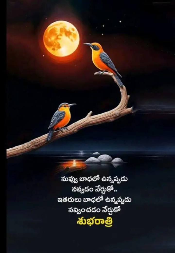 Good night