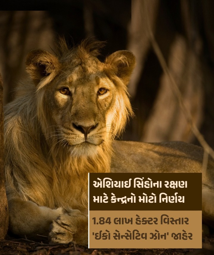 નવા ઝોનમાં જુનાગઢ, અમરેલી, ગીર સોમનાથ જિલ્લાના 196 ગામ અને 17 નદીઓનો ઝોનમાં સમાવેશ: ગીર રક્ષિત વિસ્તારથી 10 કિમી વિસ્તારમાં નવો ઝોન: નવા ઝોનમાં 24000 હેક્ટરથી વધુ વન વિસ્તારનો સમાવેશ: વન અને પર્યાવરણ મંત્રી મુળુભાઈ બેરાએ આપી માહિતિ.