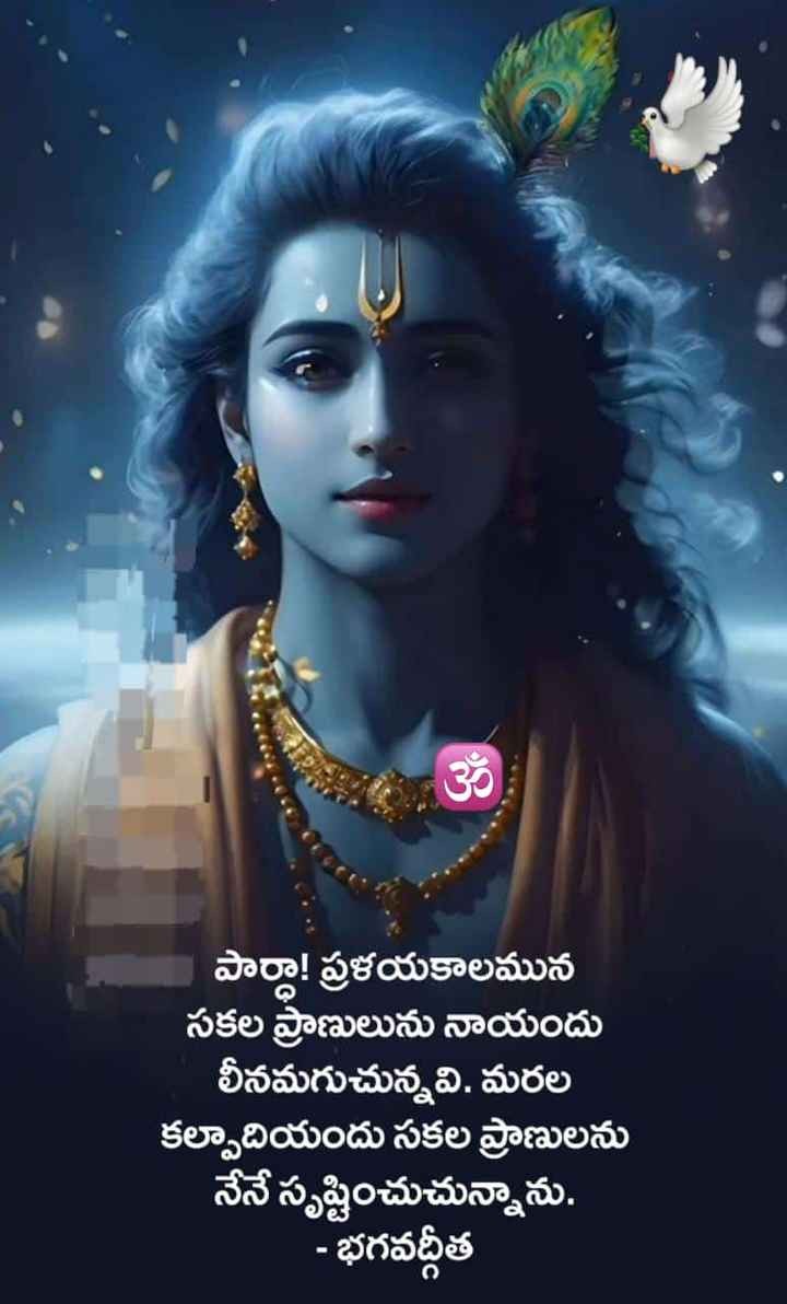 పార్థా! ప్రళయకాలమున సకల ప్రాణులను..