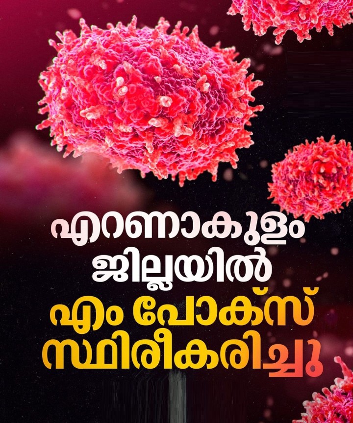 കൊച്ചി: എറണാകുളം ജില്ലയില്‍ എം പോക്‌സ് സ്ഥിരീകരിച്ചു. യുഎഇയില്‍ നിന്ന് വന്ന യുവാവിനാണ് രോഗം സ്ഥിരീകരിച്ചത്.