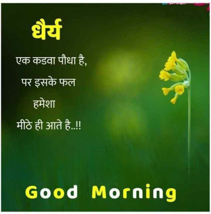 धैर्य... एक कडवा पौधा है, पर इसके फल हमेशा मीठे ही आते है