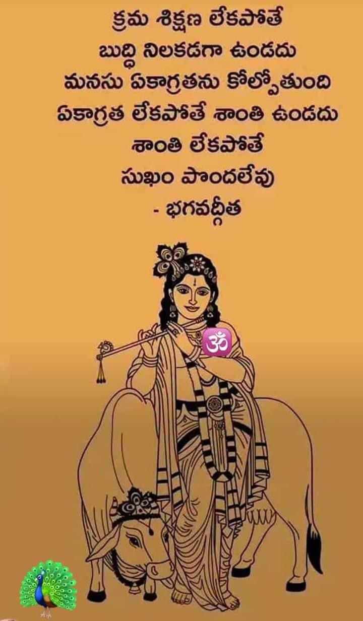 క్రమశిక్షణ లేకపోతే బుద్ధి నిలకడగా ఉండదు..