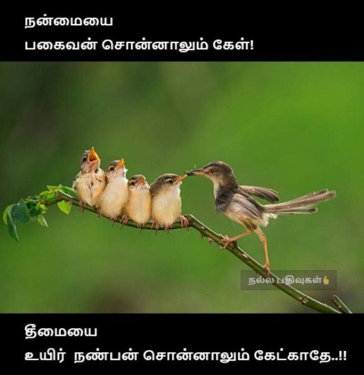 கேக்காத