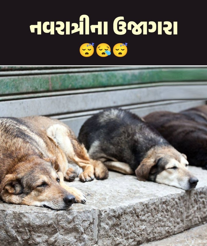 નવરાત્રી ના ઉજાગરા