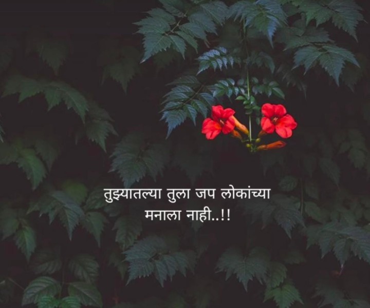 तुझ्या मनाला जप