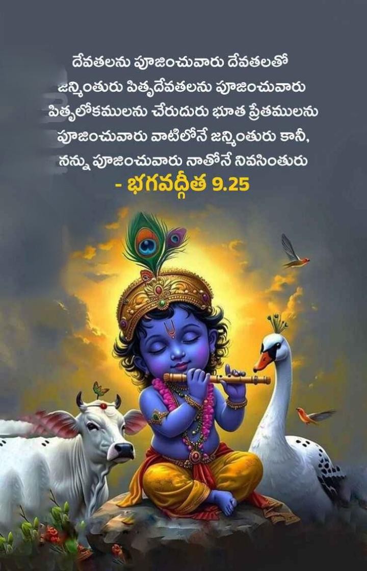 దేవతలను పూజించువారు దేవతలతో జన్మింతురు..