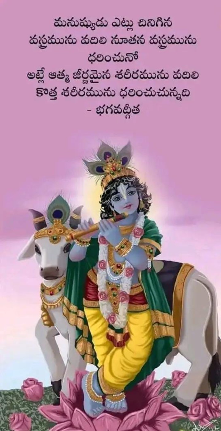మనుష్యుడు ఎట్లు చినిగిన..
